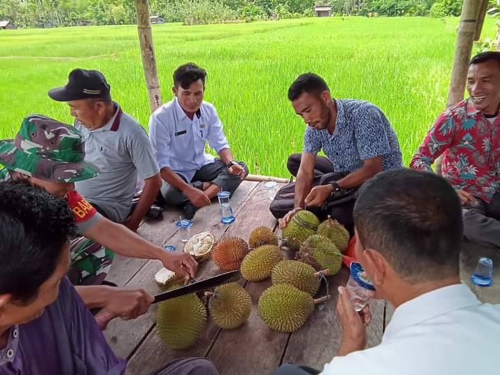Desa Nancawa memiliki tanah yang subur yang sangat cocok untuk pengembangan dalam sektor perkebunan